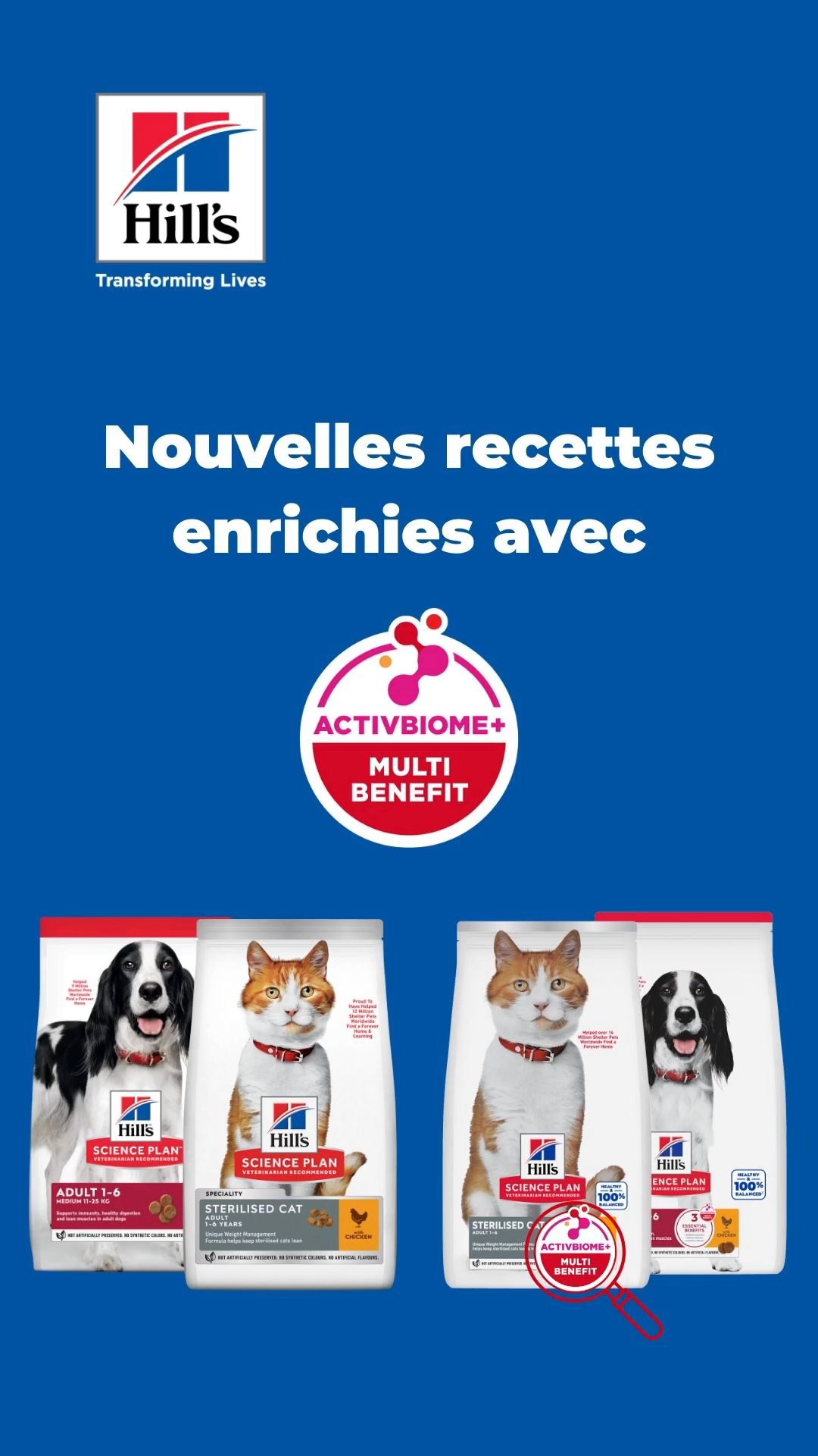 Animalis x Hill's : Les clés nutrition qui engagent 7